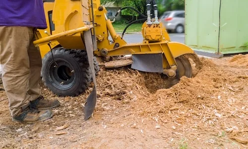Stump Grinding, Perth